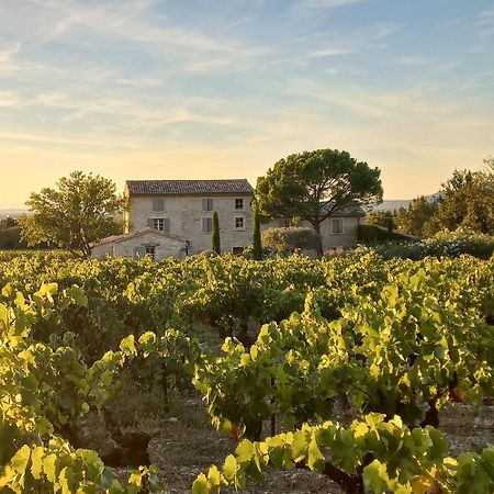 Le Cottage Du Chat Blanc Saint Didier  ภายนอก รูปภาพ