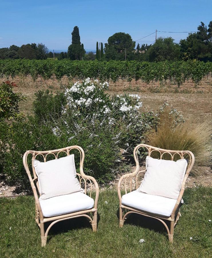 Le Cottage Du Chat Blanc Saint Didier  ภายนอก รูปภาพ
