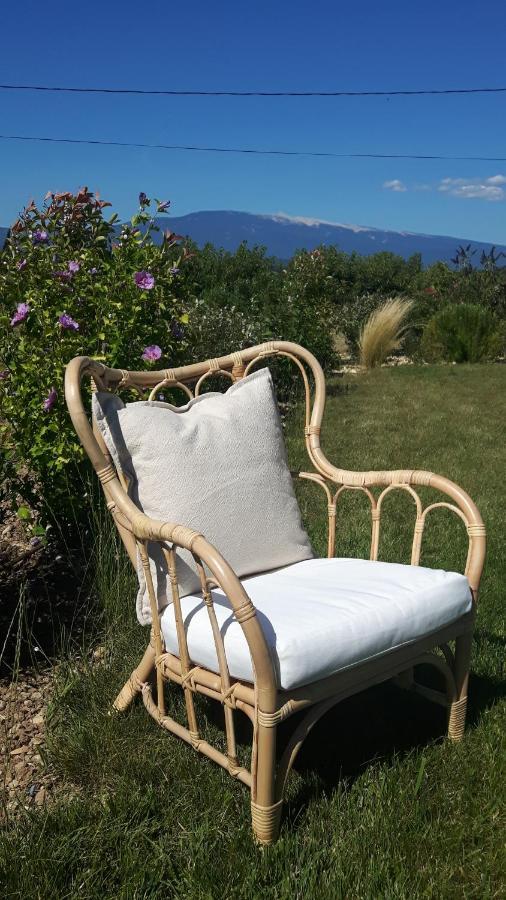 Le Cottage Du Chat Blanc Saint Didier  ภายนอก รูปภาพ
