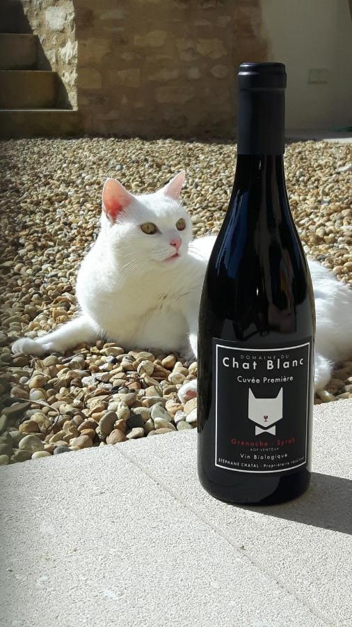 Le Cottage Du Chat Blanc Saint Didier  ภายนอก รูปภาพ