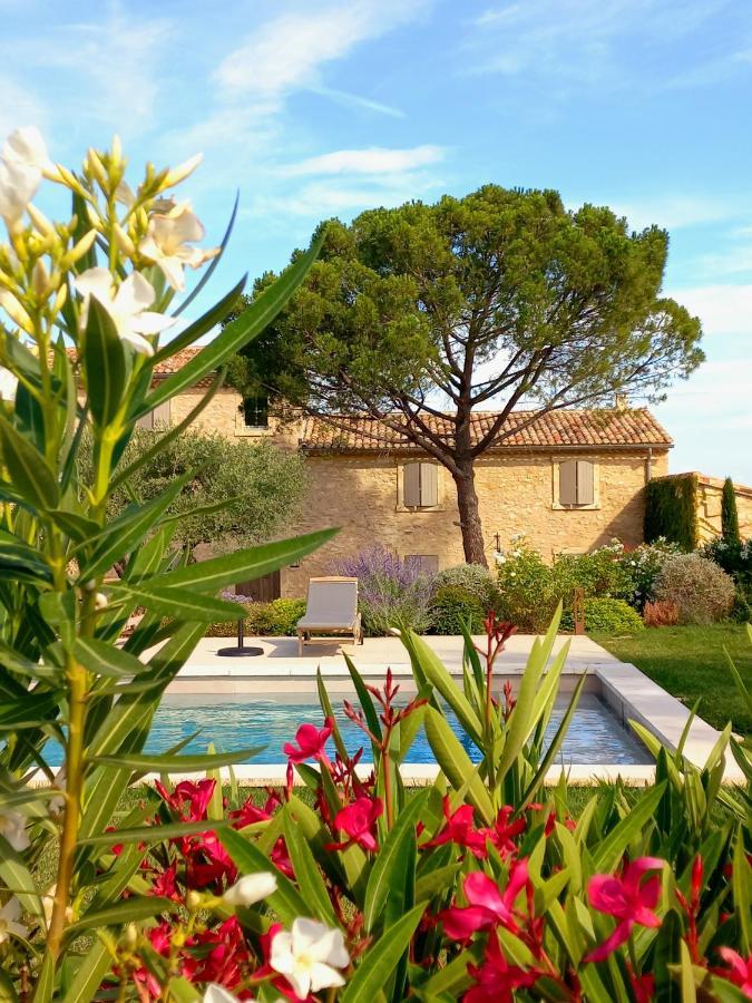 Le Cottage Du Chat Blanc Saint Didier  ภายนอก รูปภาพ
