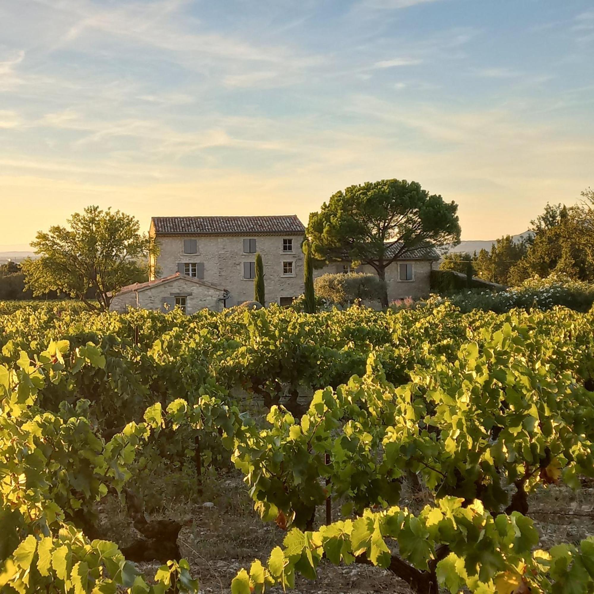 Le Cottage Du Chat Blanc Saint Didier  ภายนอก รูปภาพ