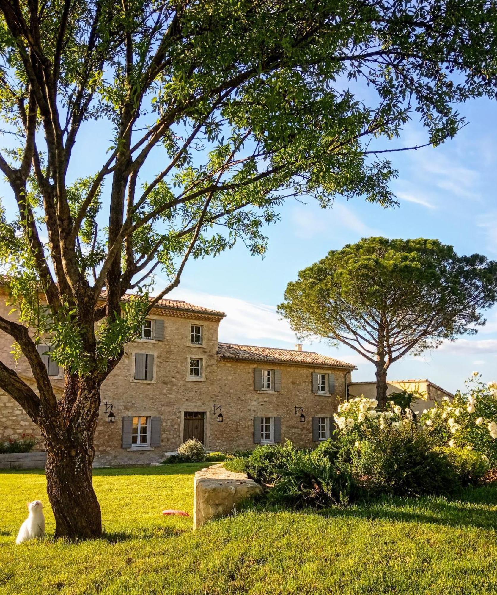 Le Cottage Du Chat Blanc Saint Didier  ภายนอก รูปภาพ